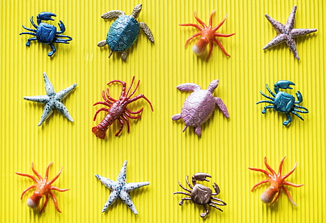 Assorted Underwater Animal Toys, activity, animals, background HD wallpaper