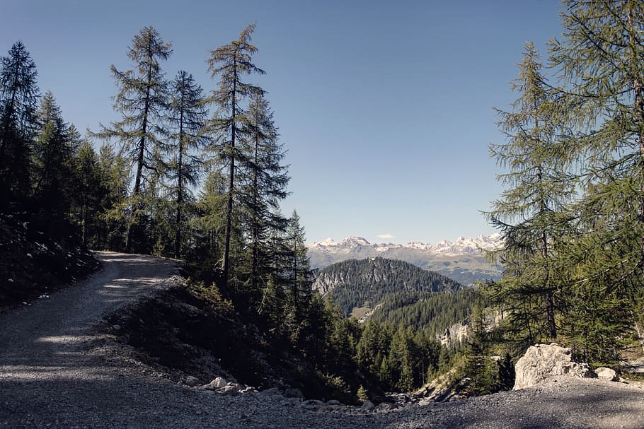 austria, lienz, tree, plant, sky, mountain, beauty in nature HD wallpaper