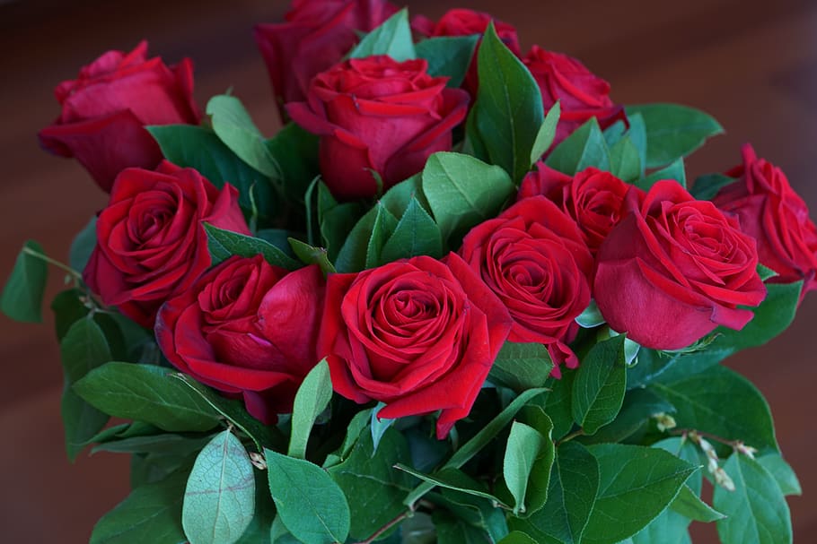 red rose bouquet, flower, flowering plant, beauty in nature, close-up HD wallpaper