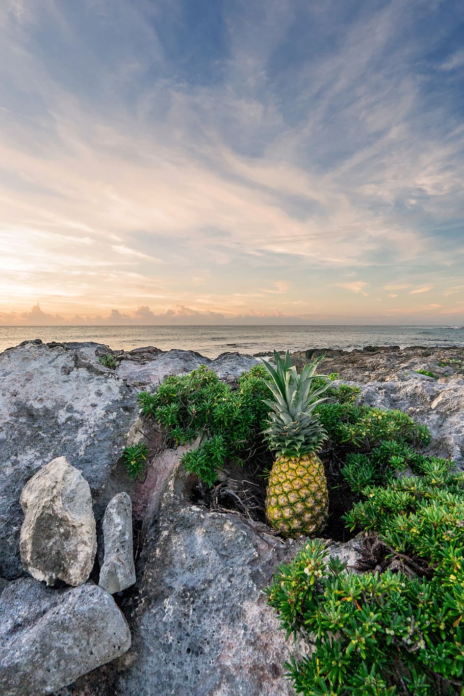 pineapple on rock boulder, sky, solid, cloud - sky, nature, rock - object HD wallpaper