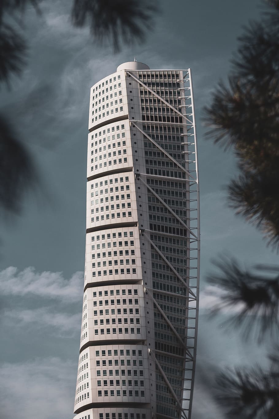 white high rise building, tree, leaf, leaves, architecture, abstract HD wallpaper