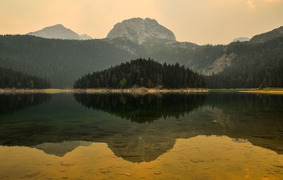 reflection, water, tree, lake, scenics - nature, beauty in nature HD wallpaper