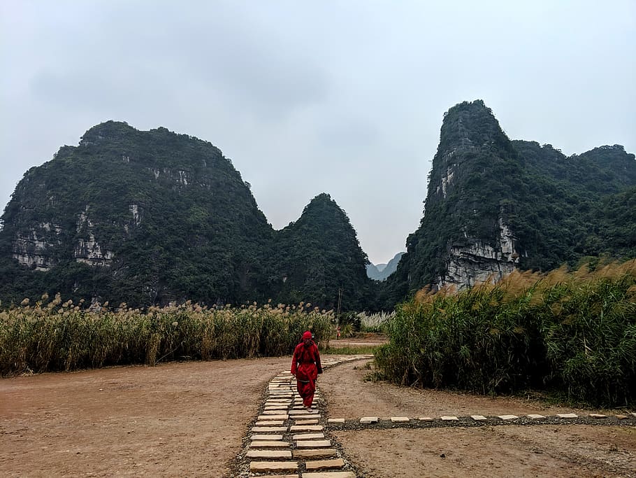 man walking on pathway, mountain, real people, rear view, one person HD wallpaper