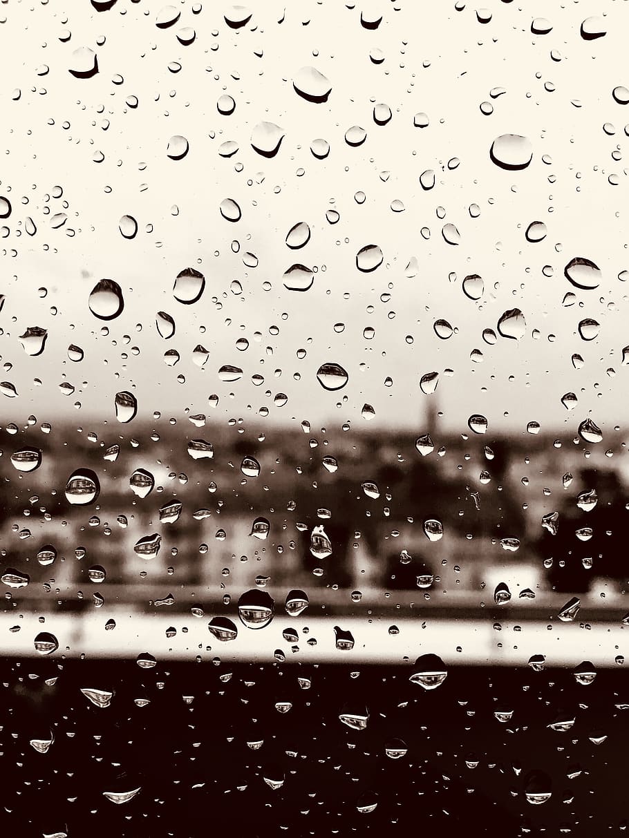 deutschland, kaiserslautern, drop, wet, rain, water, transparent HD wallpaper