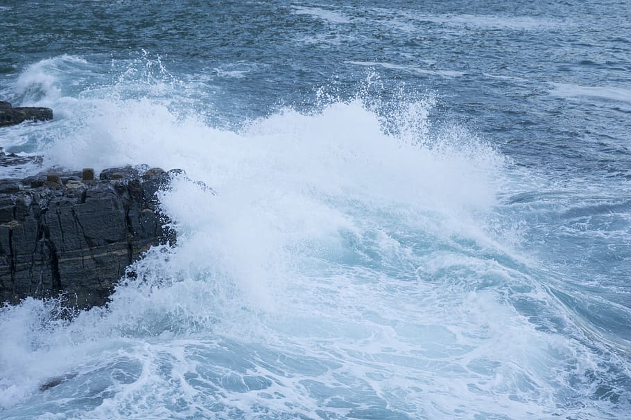 Дика вода. Water Motion.