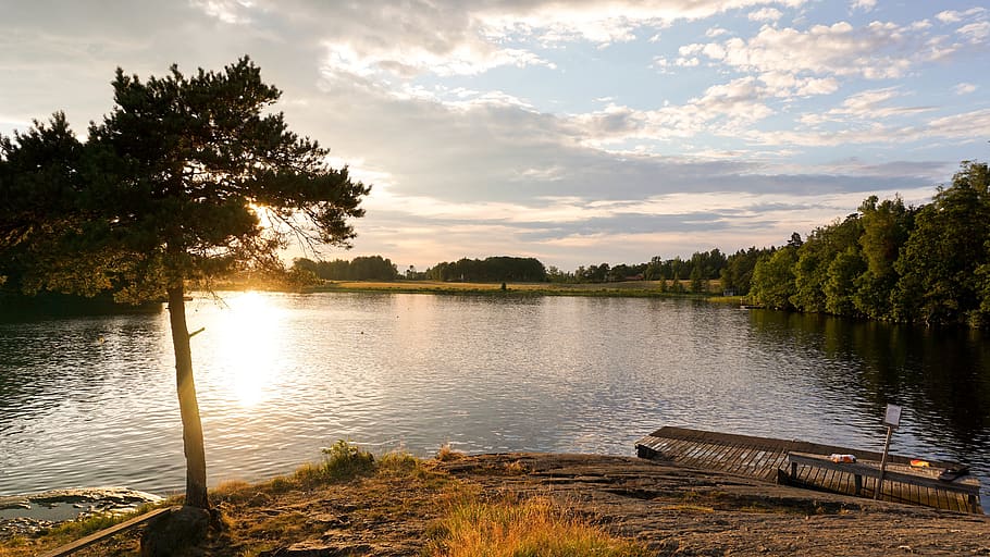 water, plant, tree, sky, beauty in nature, tranquility, lake HD wallpaper