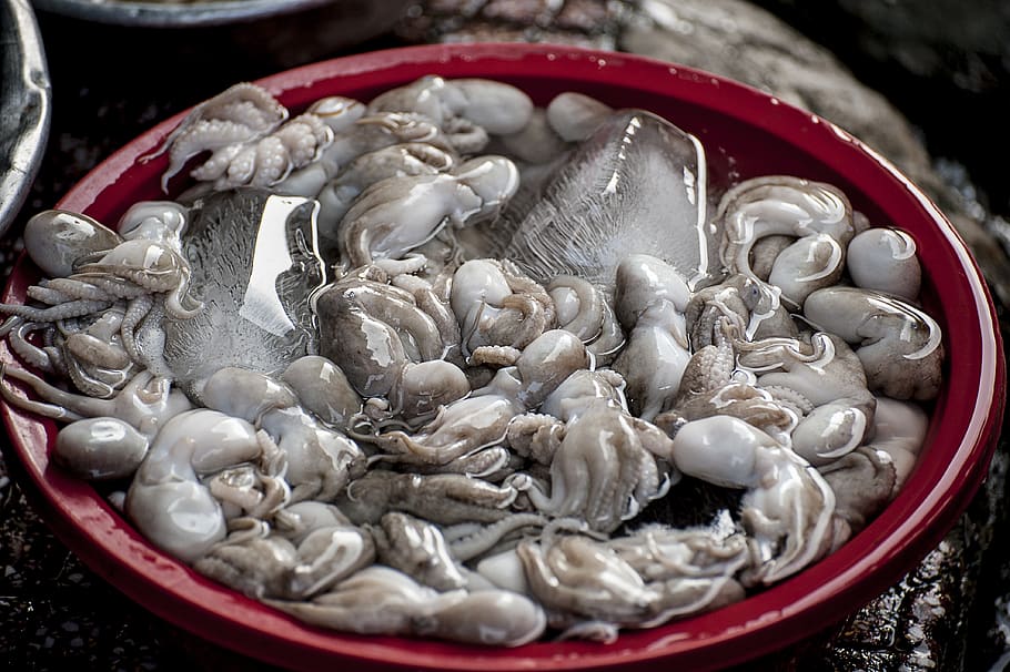 vietnam, food, food and drink, still life, freshness, container HD wallpaper