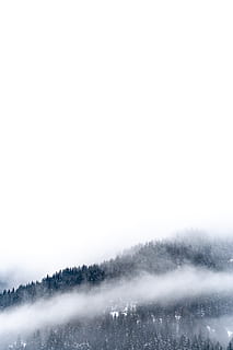 fog mountain wallpaper, tree, plant, abies, fir, outdoors, nature HD wallpaper