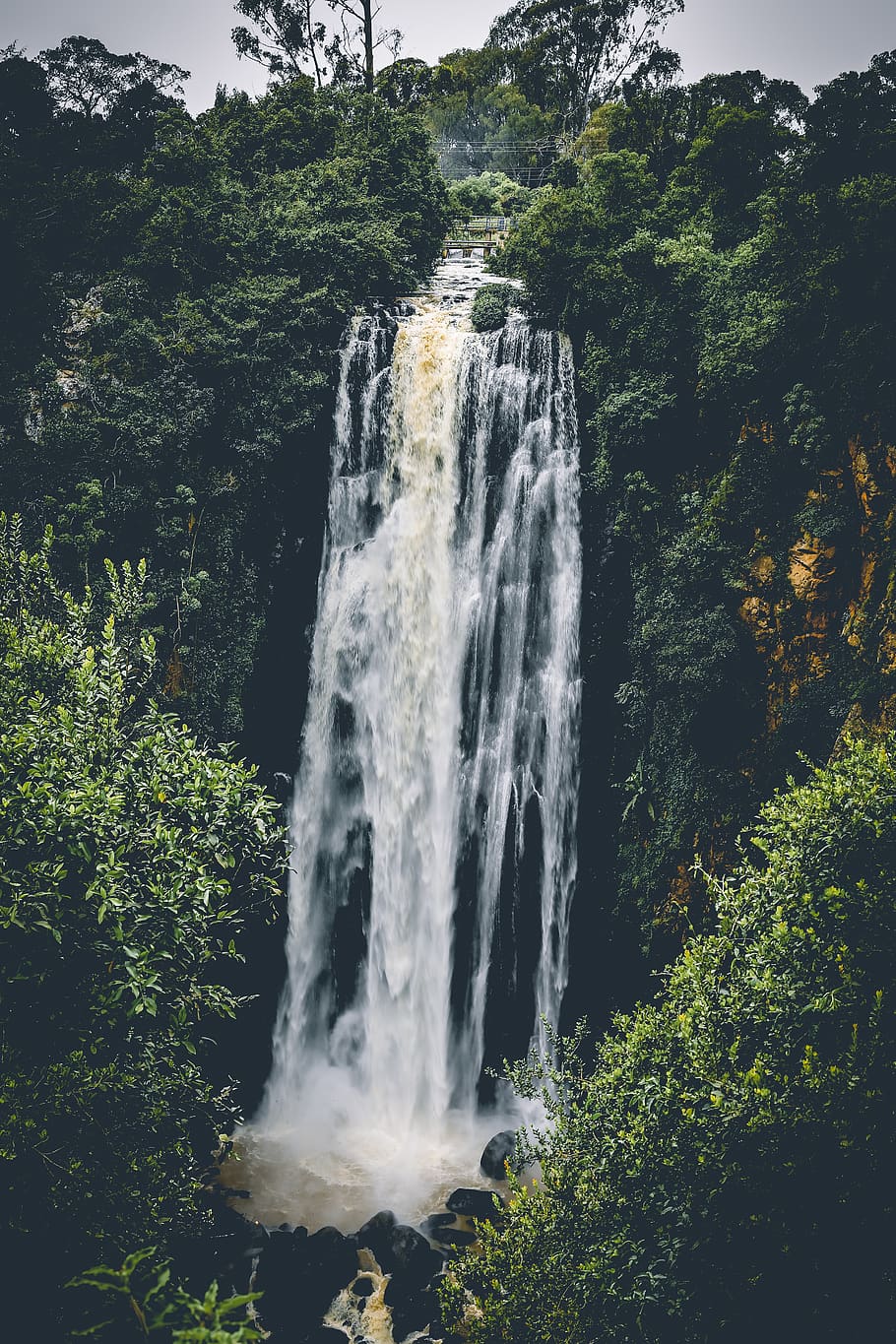 Waterfall Between Trees, adventure, cascade, environment, flow HD wallpaper