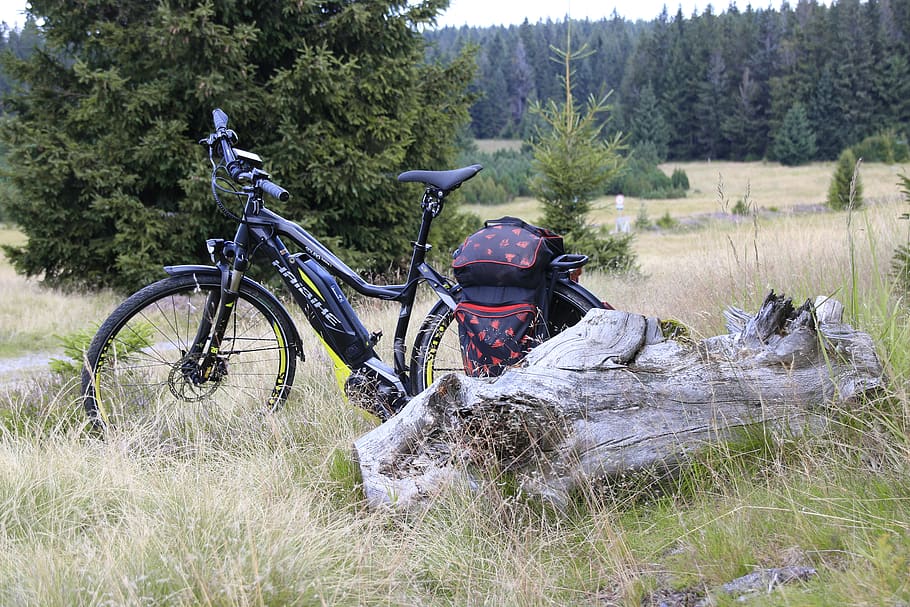 nature, grass, summer, wheel, tree, haibike, bike ride, plant HD wallpaper