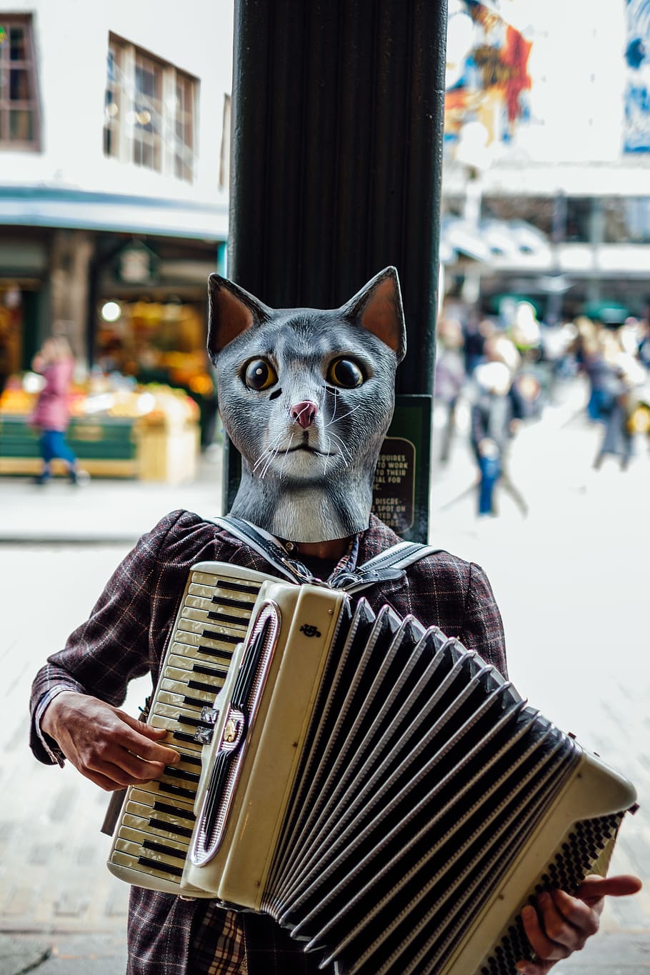 edited photo of person playing accordion, focus on foreground, HD wallpaper