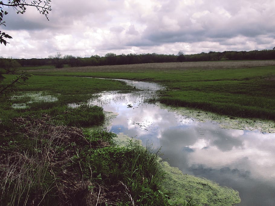 plain, river, cloud - sky, water, plant, beauty in nature, scenics - nature HD wallpaper