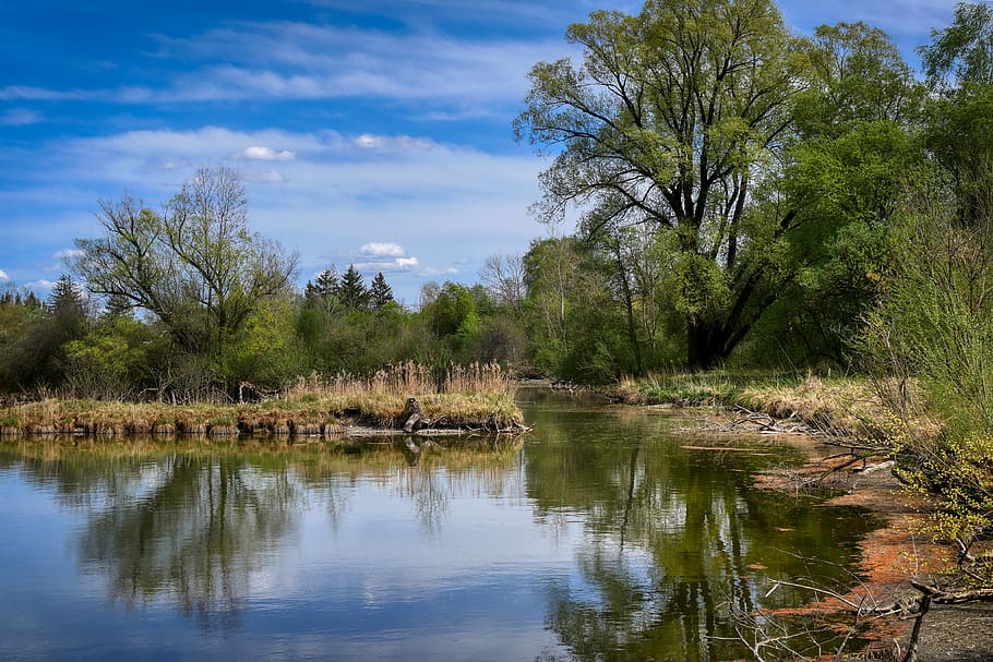 lake, spring, nature, landscape, water, forest, bushes, bank HD wallpaper
