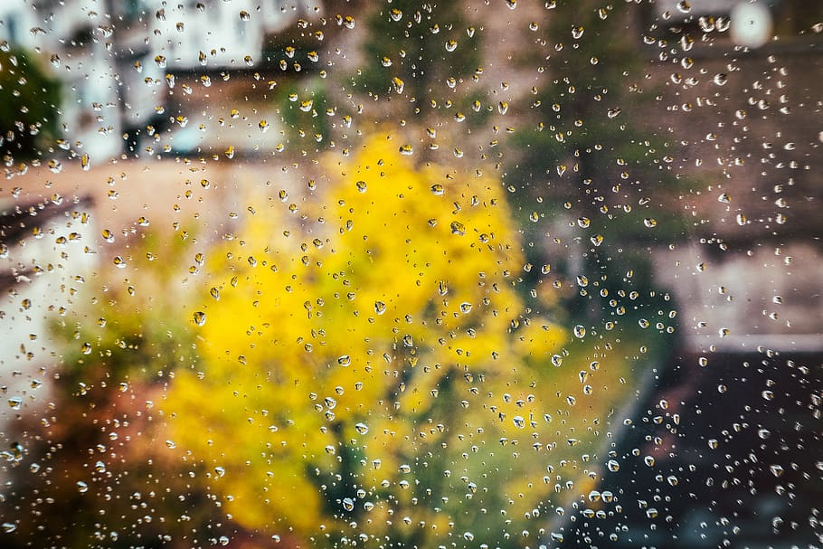 rain, window, autumn, drop, wet, glass - material, transparent HD wallpaper