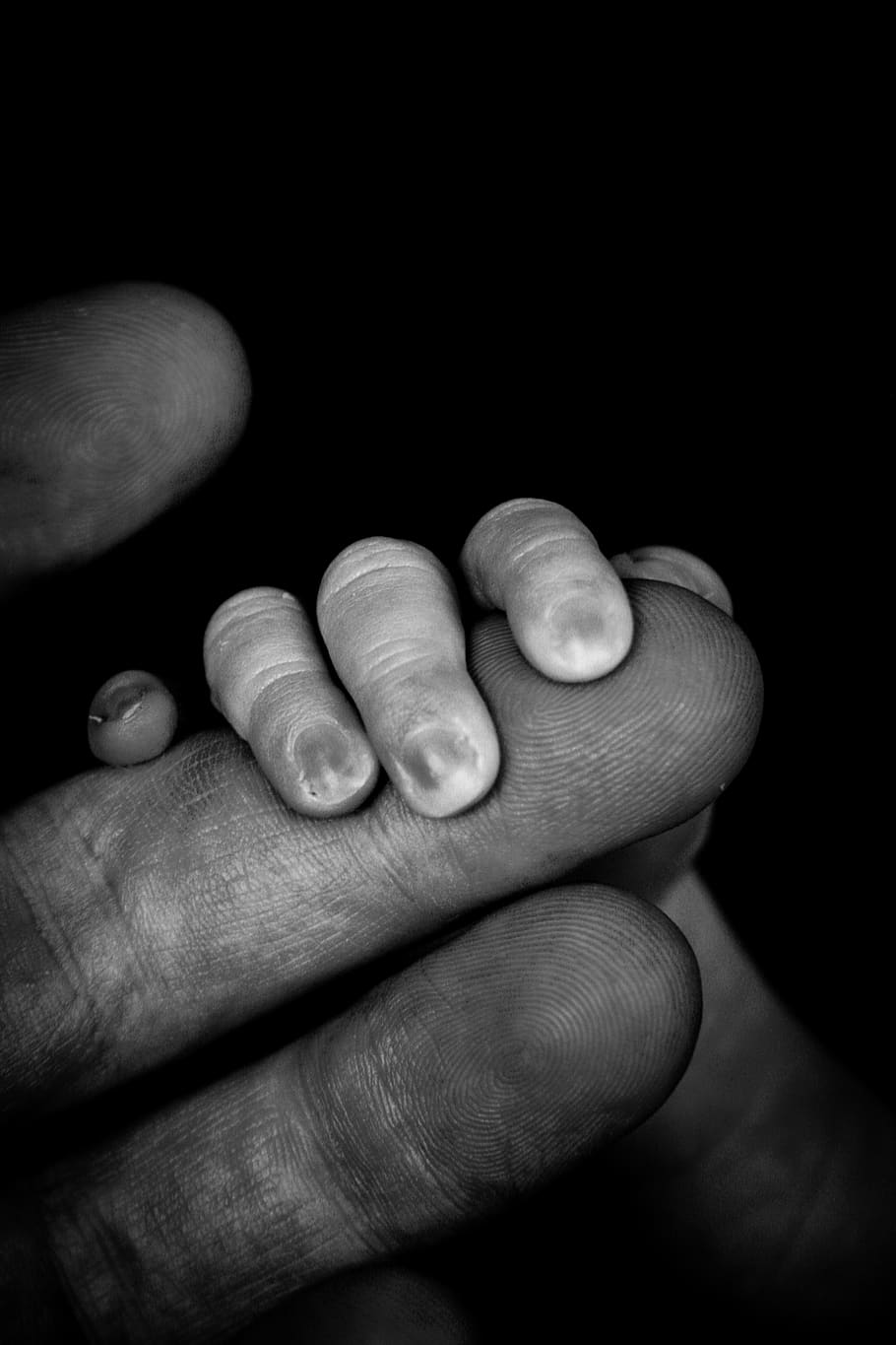hands, fingers, black, white, en, the hand, love, close-up HD wallpaper