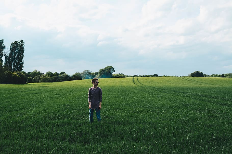field, sunny, summer, portrait, teen, model, trees, sunshine HD wallpaper