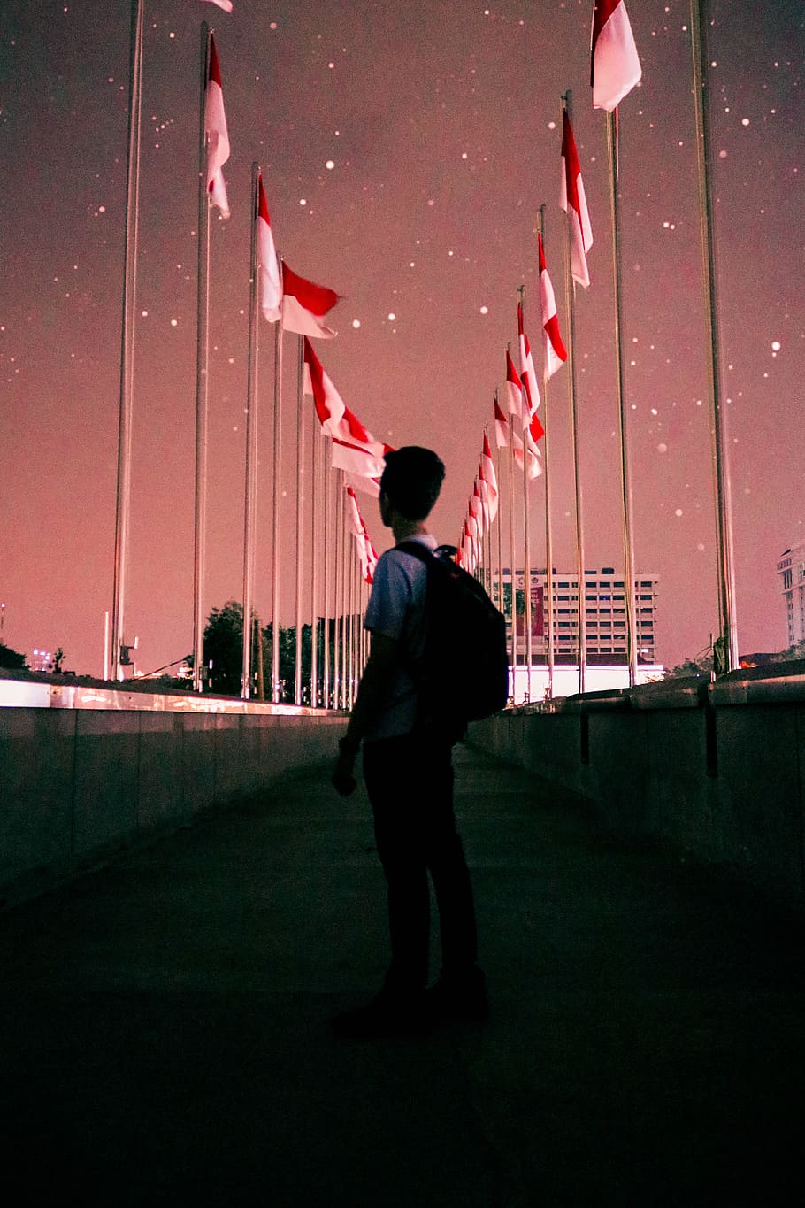 man standing on bridge during night time, person, sky, star, flag HD wallpaper