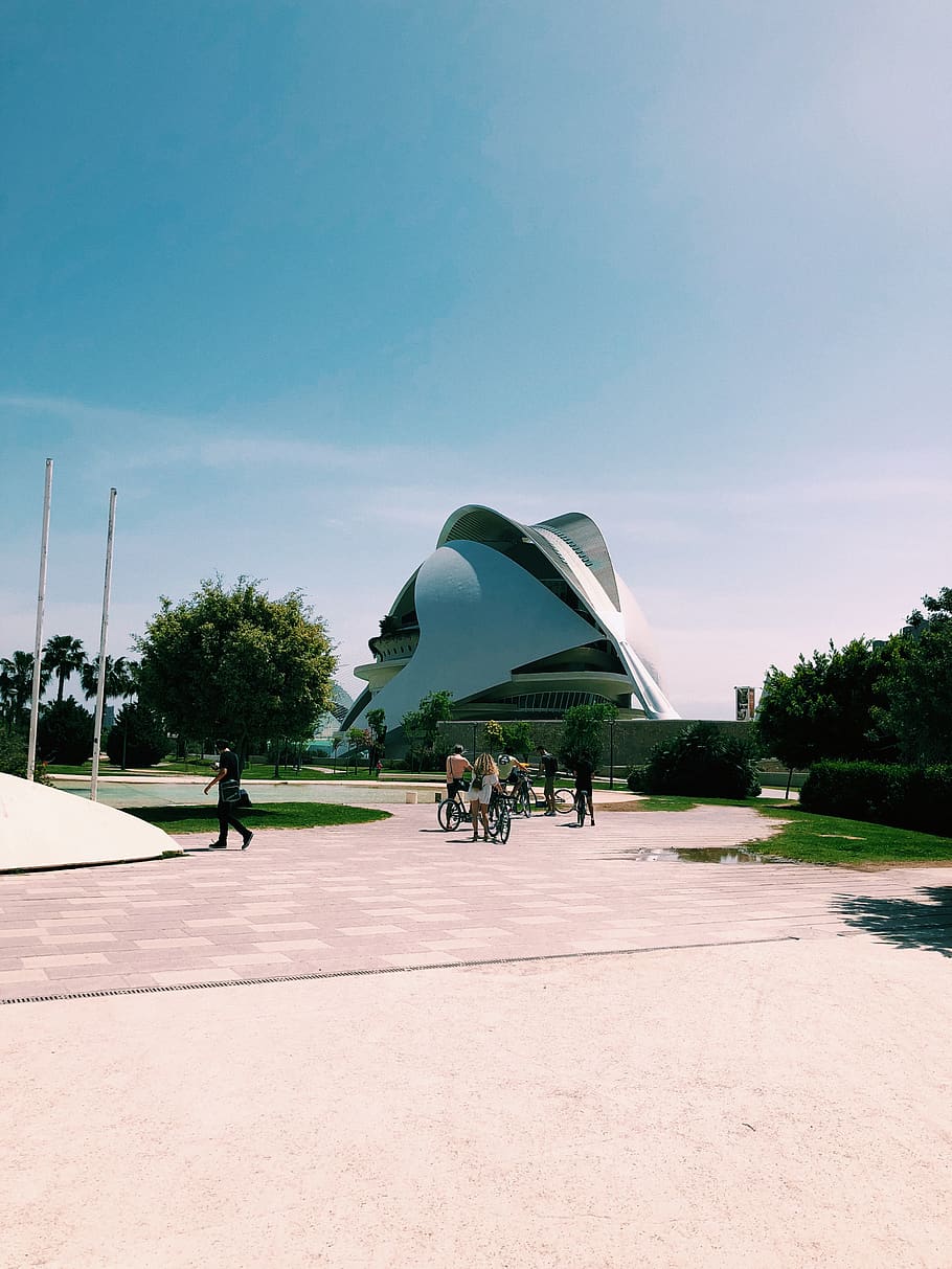 valencia, spain, science, museum, sky, tree, nature, plant HD wallpaper