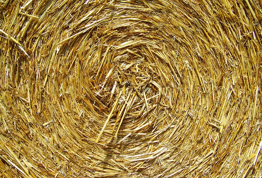 Brown Rolled Hay, close-up, crop, dry, hay bale, full frame, backgrounds HD wallpaper
