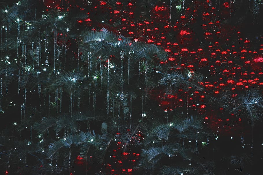 christmas, christmas tree, christmas lights, trees, ornaments