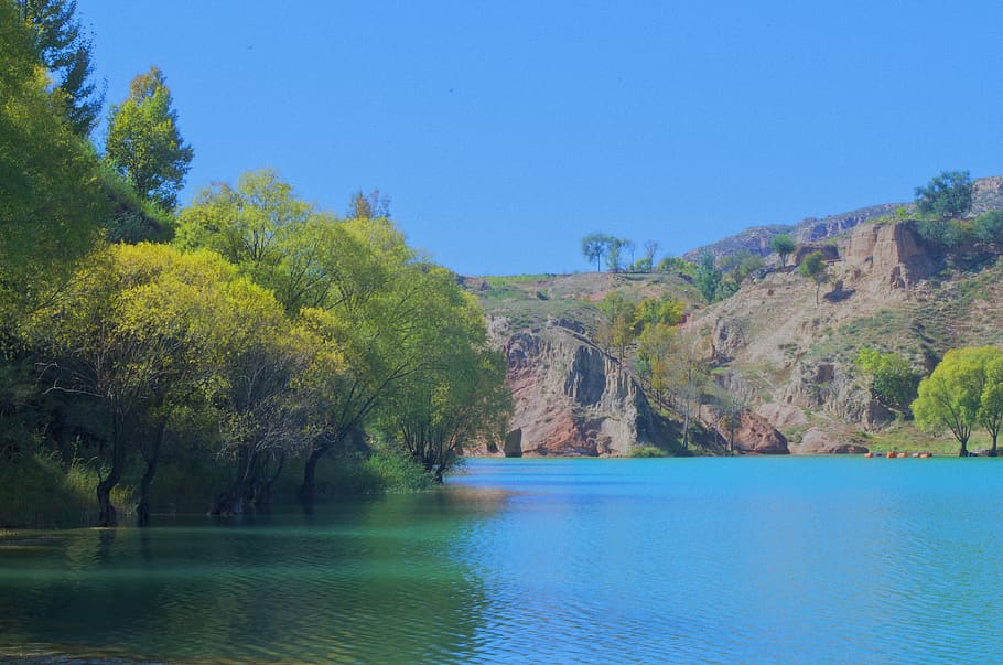 water, tree, scenics - nature, tranquility, tranquil scene HD wallpaper