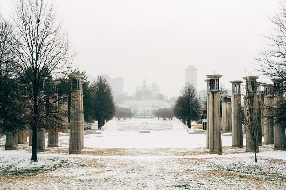 white, green, tree, bell, tower, park, state, capitol, tennessee HD wallpaper