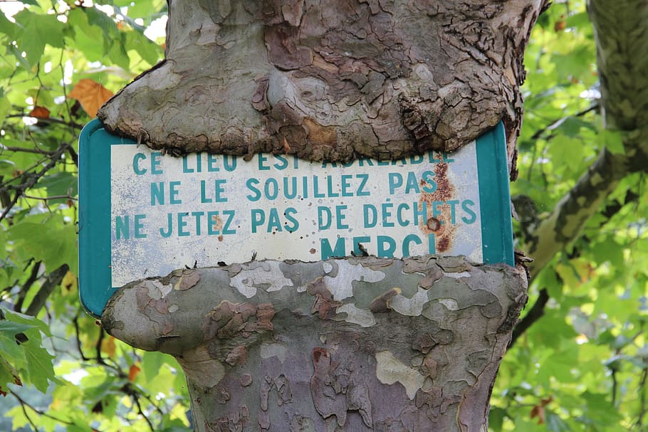 tree, panel, nature, text, trunk, tree trunk, communication HD wallpaper
