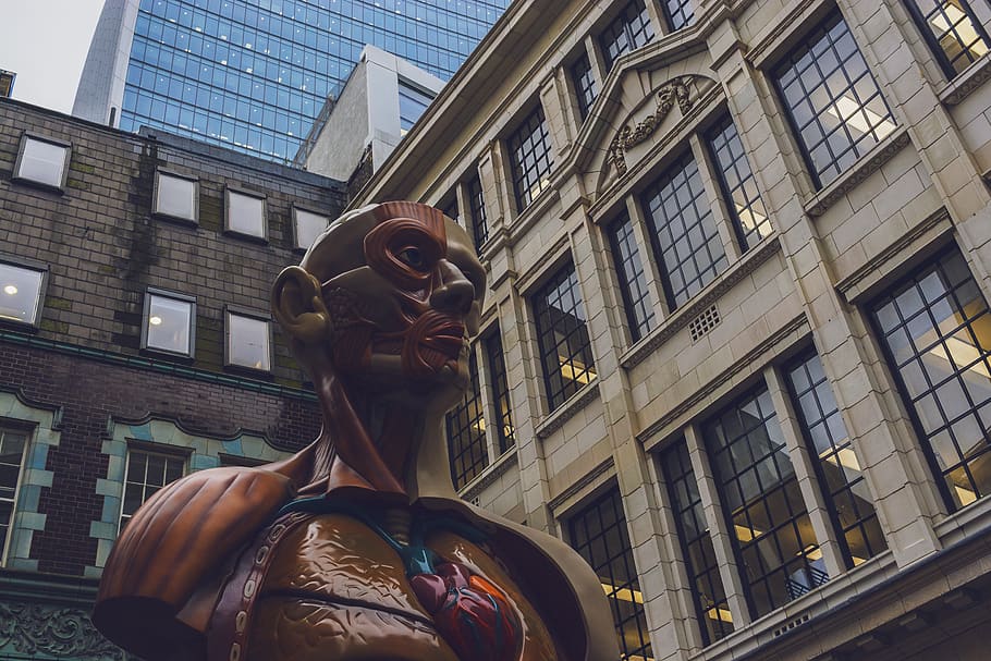 london, united kingdom, art, streets, head, sculpture, muscles, HD wallpaper