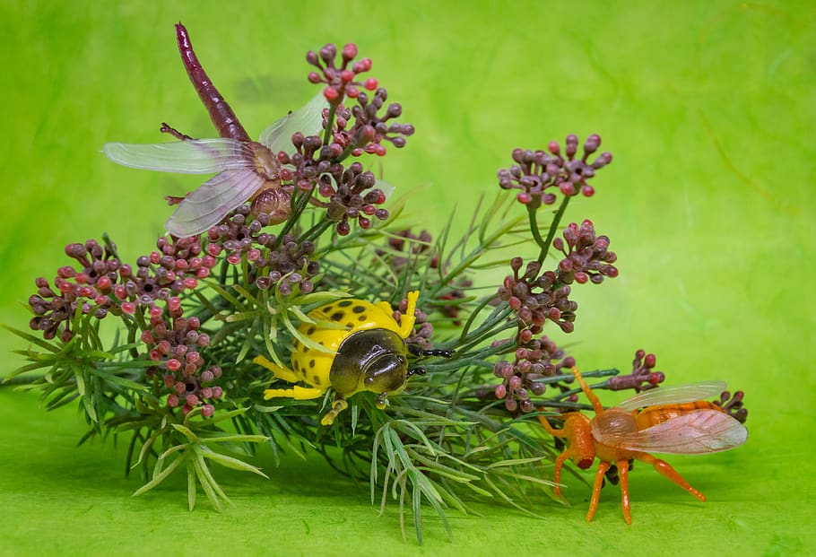Plastic Insect Toys, bugs, insects, flower, flowering plant, freshness HD wallpaper