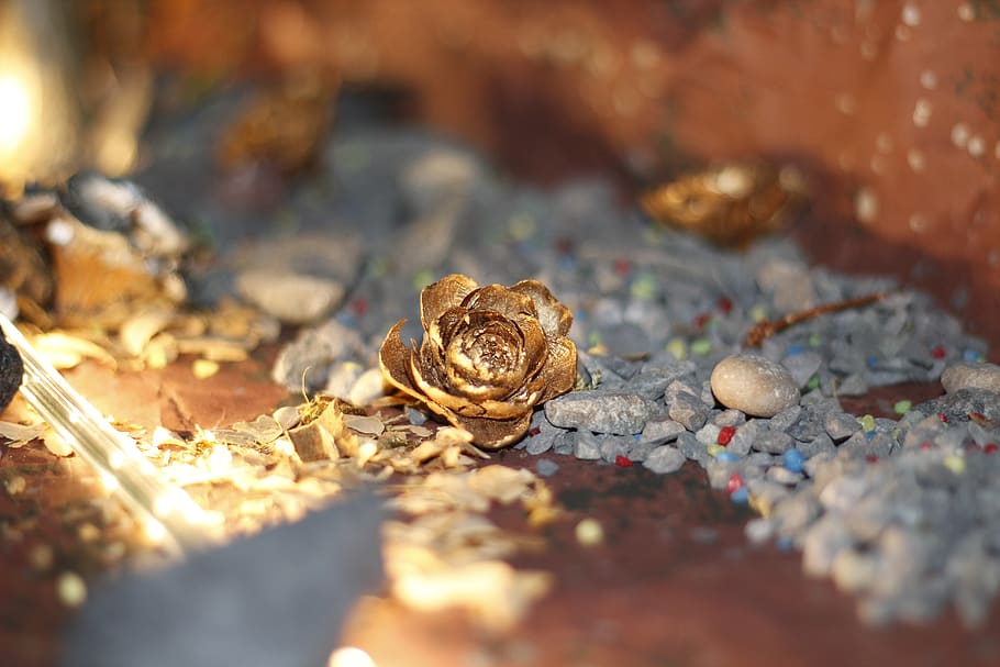 pinecone, pebbles, lighting, nature, rocks, gravel, landscape HD wallpaper