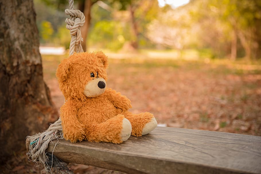 Close-Up Photography of Teddy Bear on Wooden Swing, blur, cute, HD wallpaper