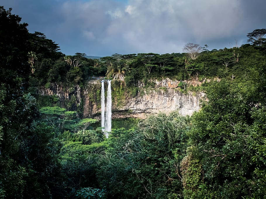 waterfall, jungle, cliff, stream, forest, nature, river, tropical HD wallpaper