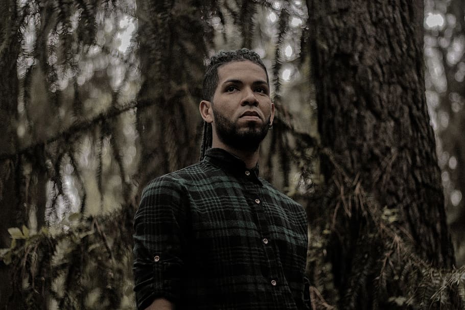 tress, man, boy, forest, hipster, tree, tree trunk, plant, one person HD wallpaper