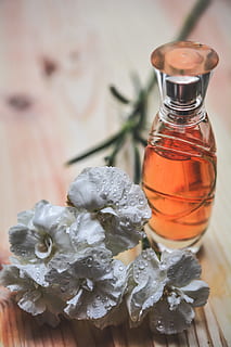 Clear Perfume Glass Bottles, aroma, aromatherapy, aromatic, cologne HD wallpaper