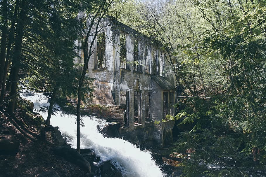 architecture, old house, forest, water fall, quebec, tree, plant HD wallpaper