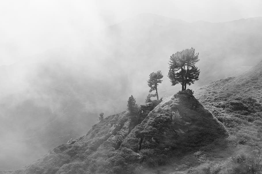 gilfert, austria, bw, mountain, tree, black and white, clouds HD wallpaper