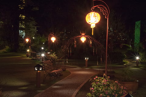 philippines, baguio, illuminated, night, plant, street light HD wallpaper