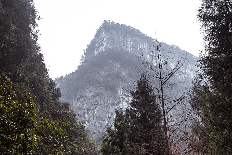 china, wulong, tree, plant, scenics - nature, mountain, beauty in nature HD wallpaper