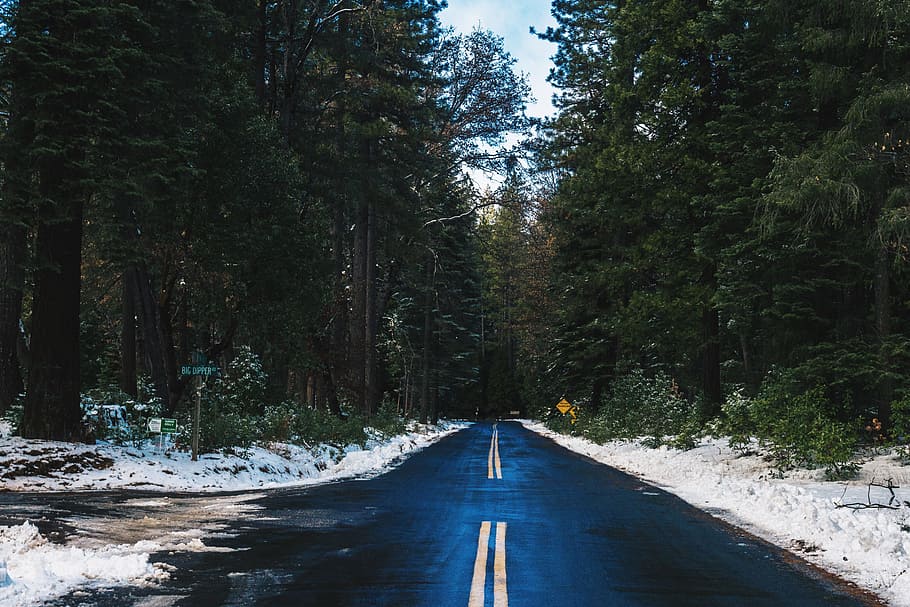 winter, road, route, path, pathway, nature, tree, ice, snow HD wallpaper
