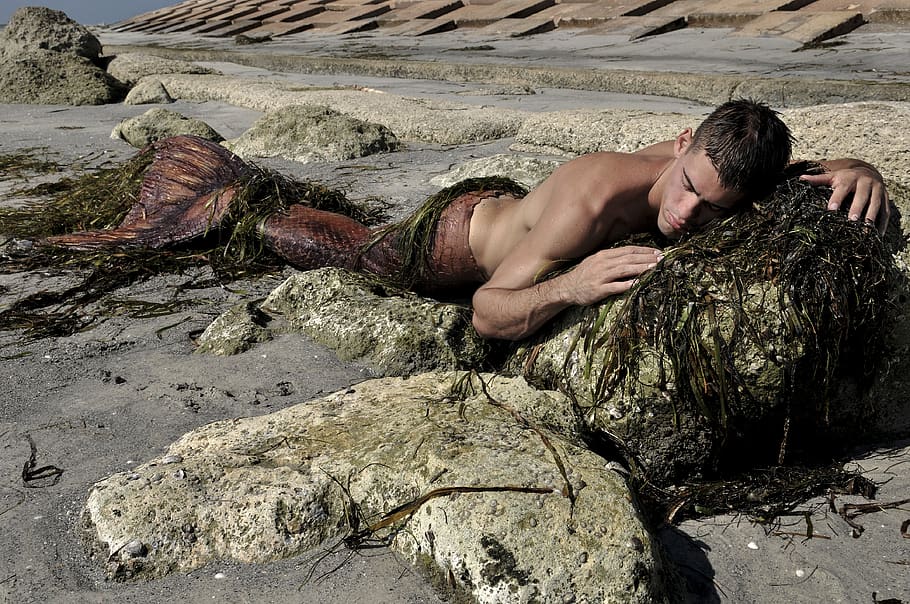 mermaid pruning on brown rock, lying down, shirtless, men, one person, HD wallpaper