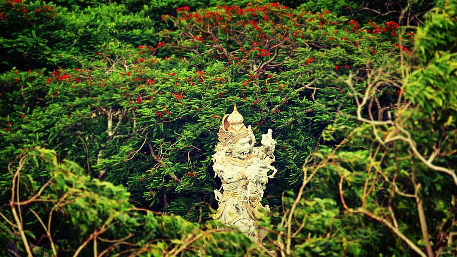 Beige Hindu Statue Surrounded by Trees at Daytime, branches, bright HD wallpaper