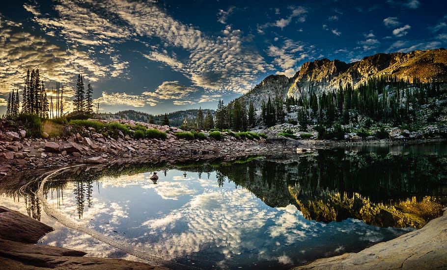Water Surrounded By Trees , daylight, landscape, mountain, nature HD wallpaper