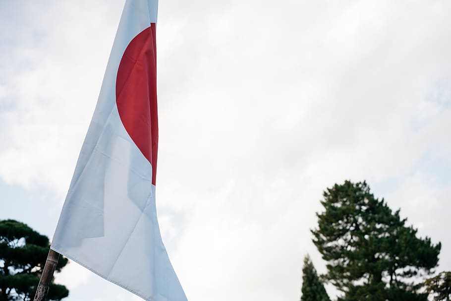 japan, flag, japanese flag, white, blur, patriotism, tree, sky, HD wallpaper