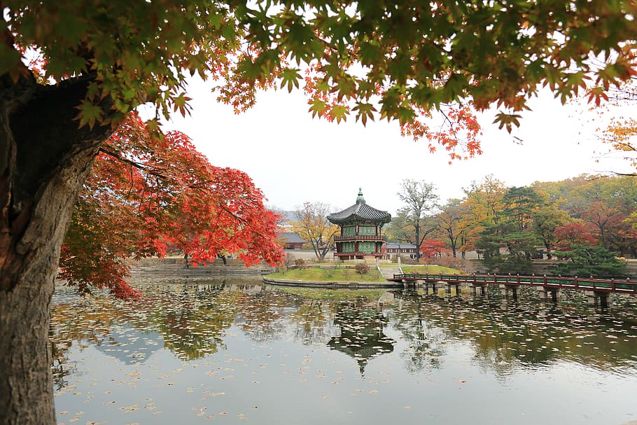 3840x2160px | free download | HD wallpaper: gyeongbok palace, towards ...