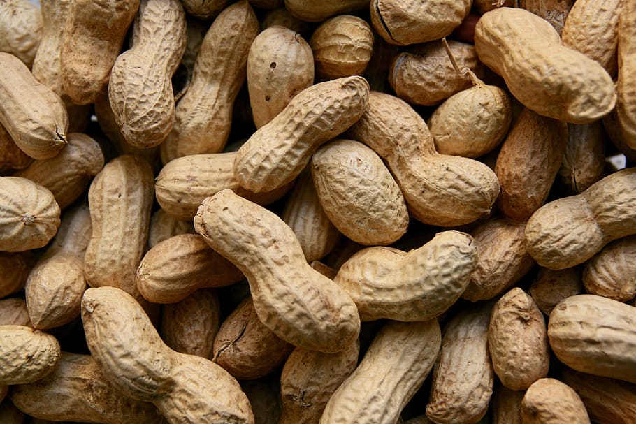 peanuts, food, large group of objects, backgrounds, food and drink