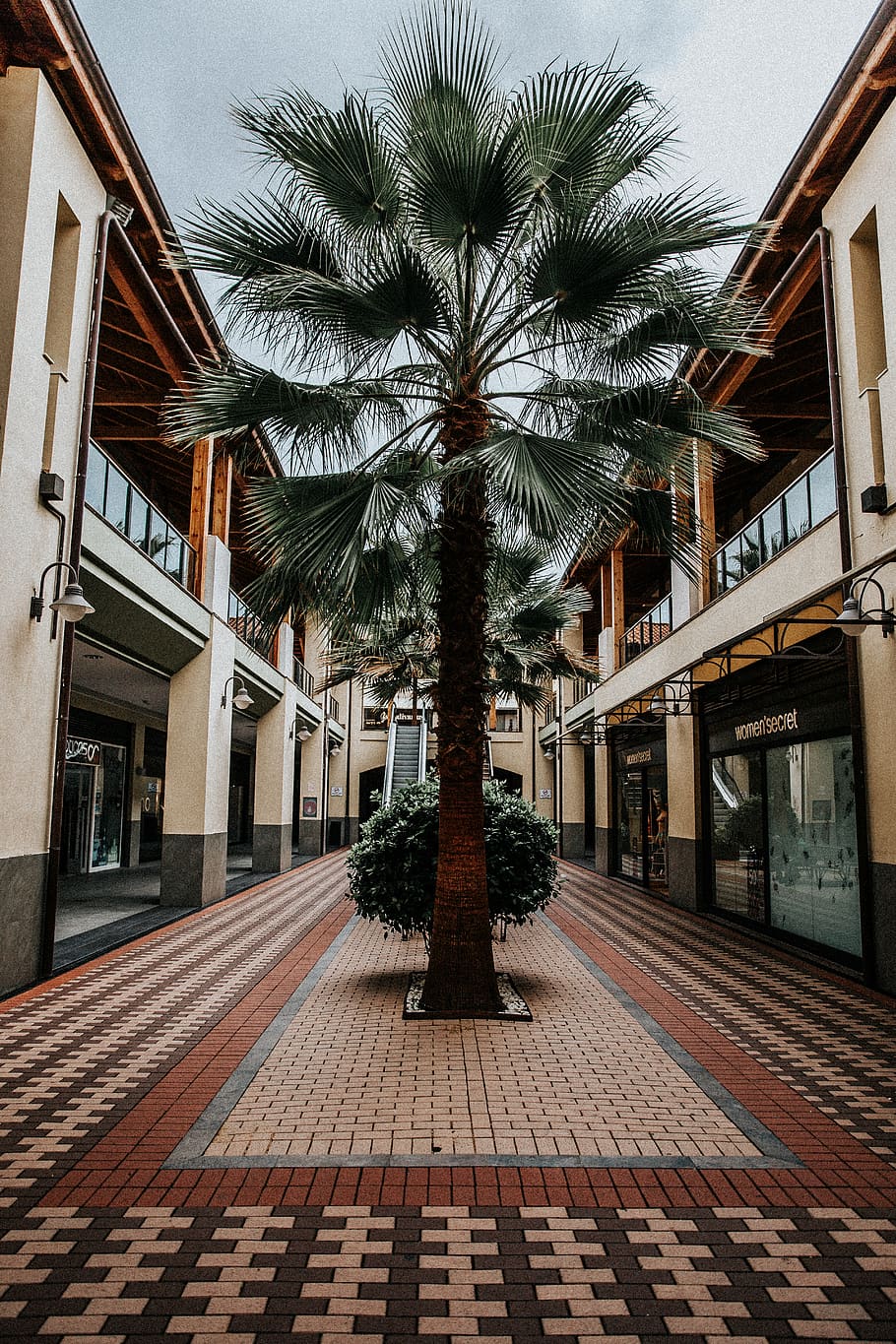 mall, palm, tropical, architecture, palm tree, tropical climate HD wallpaper