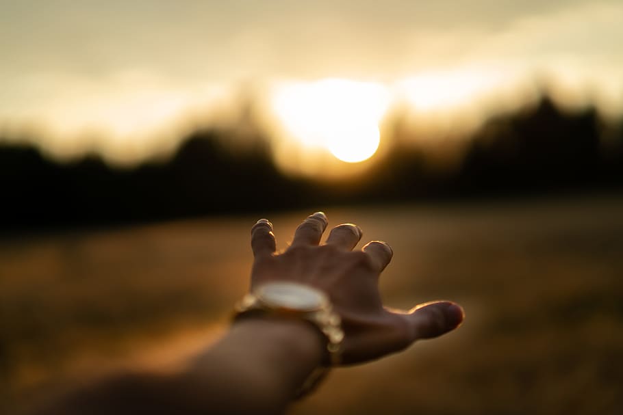 shallow focus photography of person's left hand, sun, reach, watch HD wallpaper