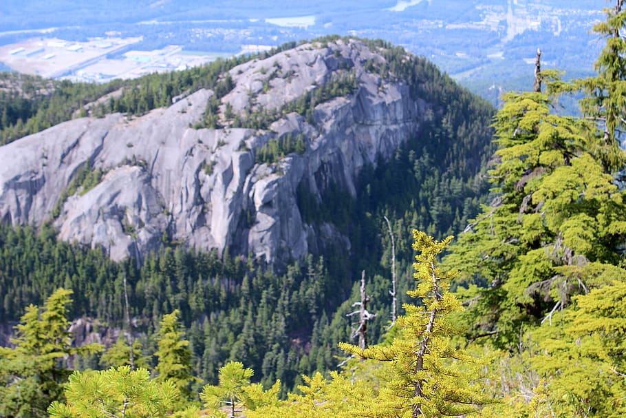 canada, squamish, trees, mountain, views, scenics - nature HD wallpaper