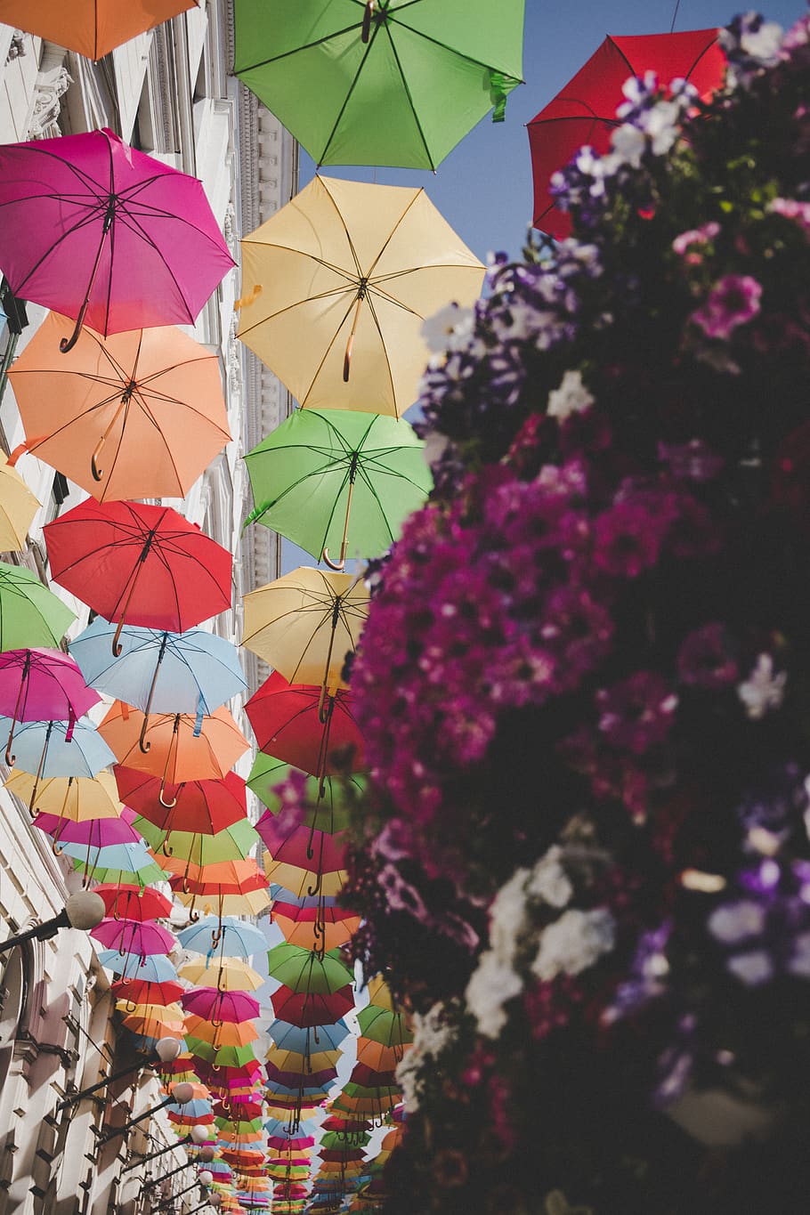 low-angle photography of umbrellas with different colors used as road decorative shade, HD wallpaper