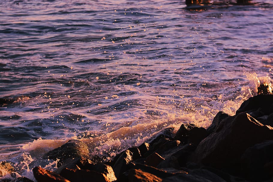 water, sea, no people, nature, motion, beauty in nature, beach HD wallpaper